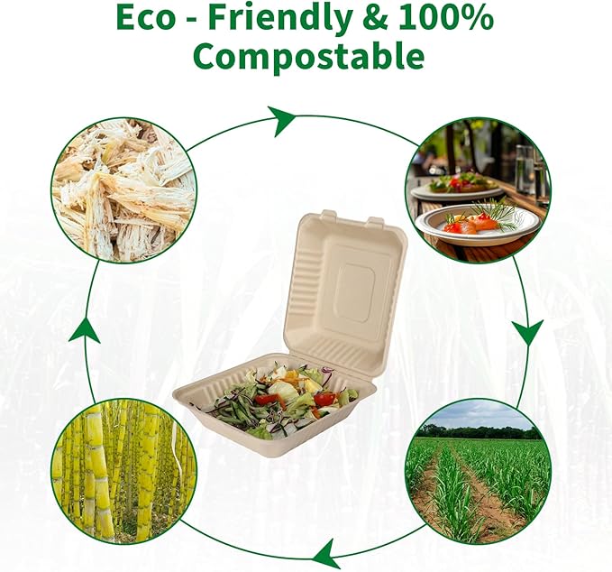 Aricsen Compostable 100 Pack 8 Inch Takeout Lunch Box Containers with Lid To Go Take Out Clamshell for Food, Disposable Eco-Friendly Biodegradable Bagasse, PFAS-Free, Brown