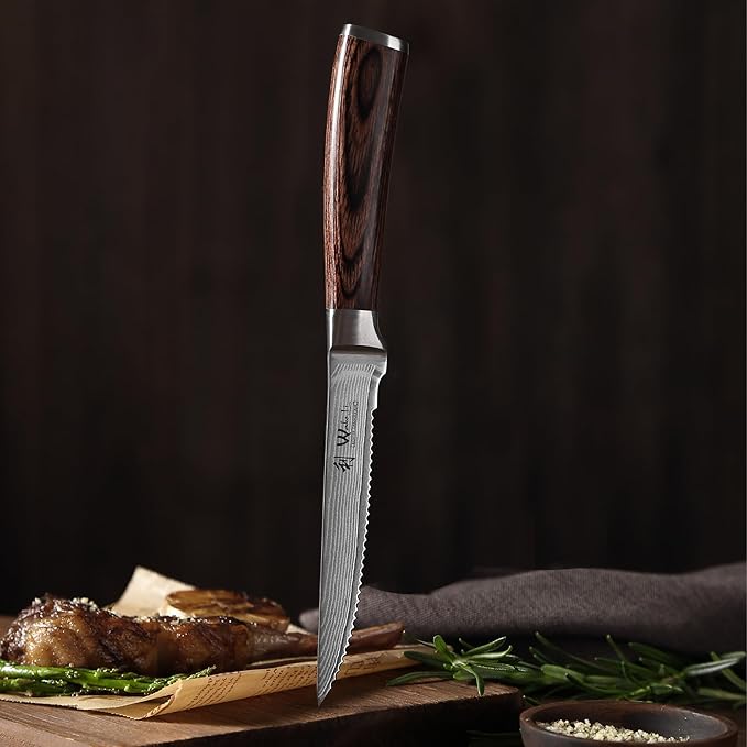 Wakoli EDIB 4-Piece Damascus Steak Knife Set – Professional Dining Kitchen Knives with VG10 Core Blades, 67-Layer Damascus Steel & Ergonomic Pakkawood Handles – Premium Steak Cutlery in Gift Box