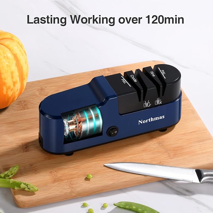 Knife Sharpener, Professional Electric Knife Sharpener for Home Use, 2 Stages for Quick Sharpening & Polishing, 100V-240V Global Voltage Design, Blue