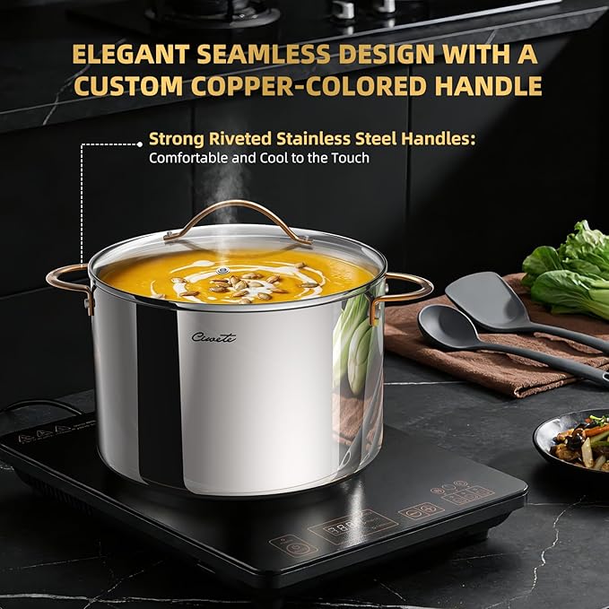 12 Quart Stock Pot with Lid, Upgraded Tri-Ply Stainless Steel Pot, Seamless Large Cooking Pot with Stay-Cool Brass Handle, Healthy Polished Stockpots, Induction Cookware, Oven & Dishwasher Safe