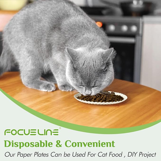 FOCUSLINE 6 Inch White Paper Plates 500 Count, Uncoated Paper Plates, Everyday Disposable Dessert Plate 6" Plate Bulk, Pack of 500 Count