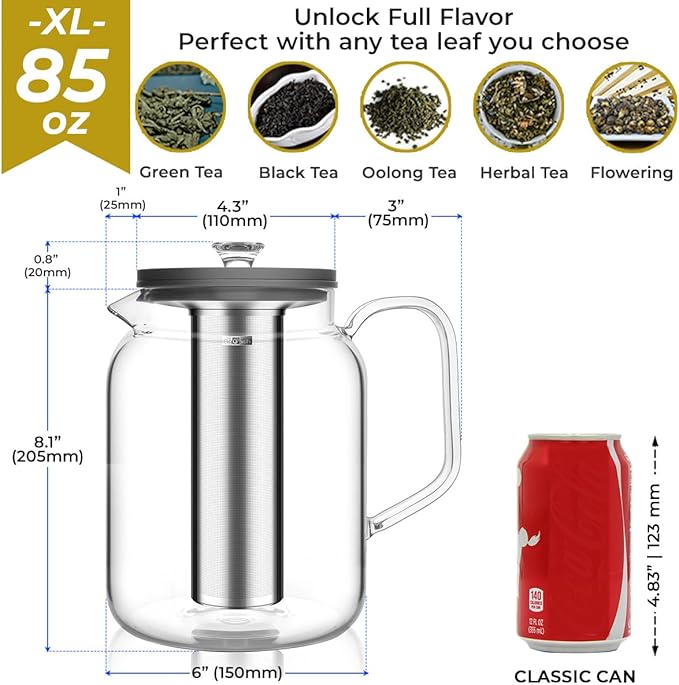 Aquach Glass Teapot with Infusers for Loose Tea, 85 Oz Glass Tea Kettle Dishwasher and Stovetop Safe, Plastic-Free Borosilicate Glass Tea Pot and Stainless Steel Tea Infuser