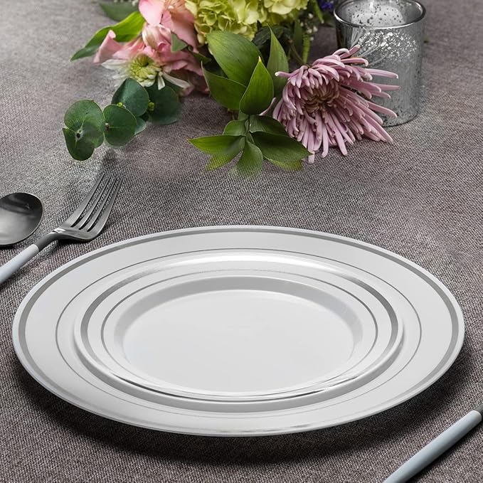 SETUP [60 Piece Combo Silver Trim Plastic Plates - Premium Heavy-Duty 30 Disposable 10.25" Dinner Party Plates and 30 Disposable 7.5" Salad Plates