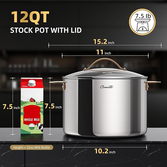 12 Quart Stock Pot with Lid, Upgraded Tri-Ply Stainless Steel Pot, Seamless Large Cooking Pot with Stay-Cool Brass Handle, Healthy Polished Stockpots, Induction Cookware, Oven & Dishwasher Safe