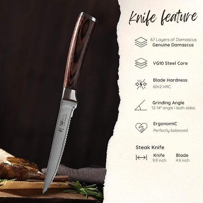 Wakoli EDIB 4-Piece Damascus Steak Knife Set – Professional Dining Kitchen Knives with VG10 Core Blades, 67-Layer Damascus Steel & Ergonomic Pakkawood Handles – Premium Steak Cutlery in Gift Box