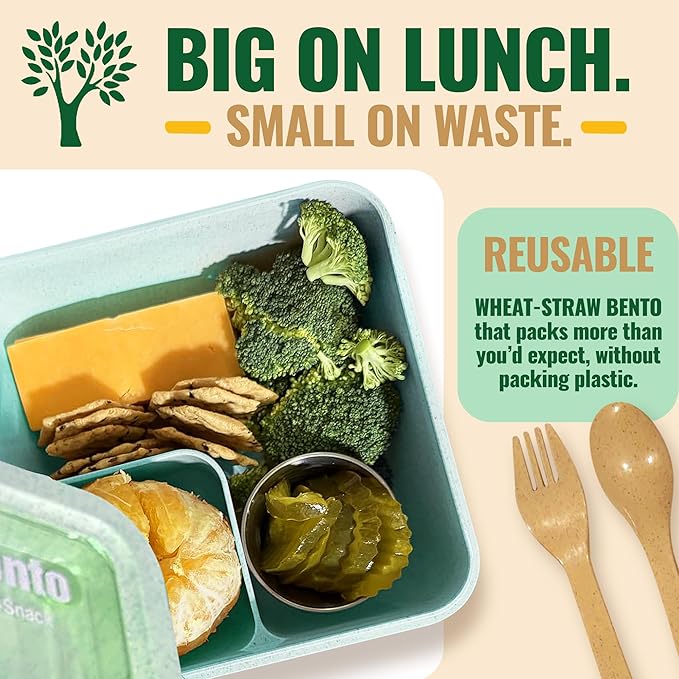 Lunch Box for Kids, Large 2-Compartment, Durable and Microwave Safe, BPA-Free with Utensils, Wheat Straw Bento Box for Kids – Green
