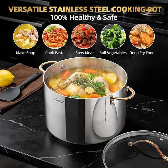 12 Quart Stock Pot with Lid, Upgraded Tri-Ply Stainless Steel Pot, Seamless Large Cooking Pot with Stay-Cool Brass Handle, Healthy Polished Stockpots, Induction Cookware, Oven & Dishwasher Safe
