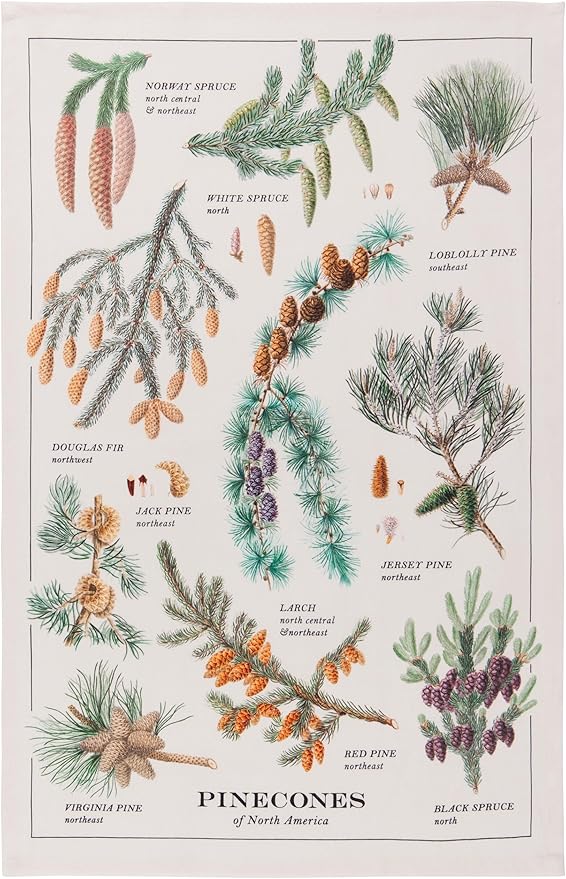 Now Designs by Danica Kitchen Cotton Printed Towel - Pinecones, 18 x 28in, 100% Cotton, Kitchen Use