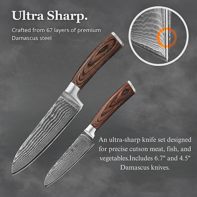 Wakoli EDIB 2-Piece Damascus Kitchen Knife Set – Santoku & Small Santoku with VG10 Core made of 67-Layer Damascus Steel Blades – Professional Chef Knives with Ergonomic Pakkawood Handles in Gift Box