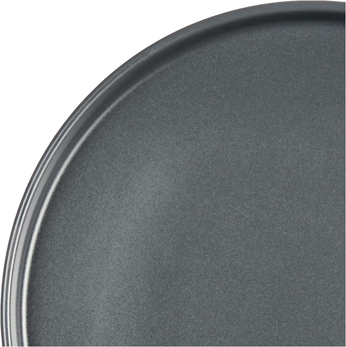Stone Lain Coupe - Celina Stoneware Round Dinner Plates Set, 4-Piece, Grey Matte