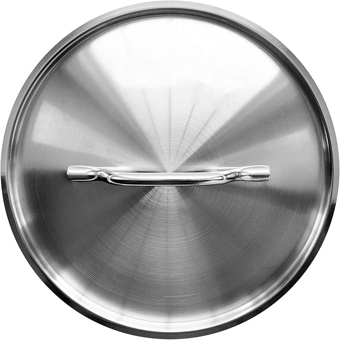 20 Qt Stainless Steel Stock Pot w/Cover