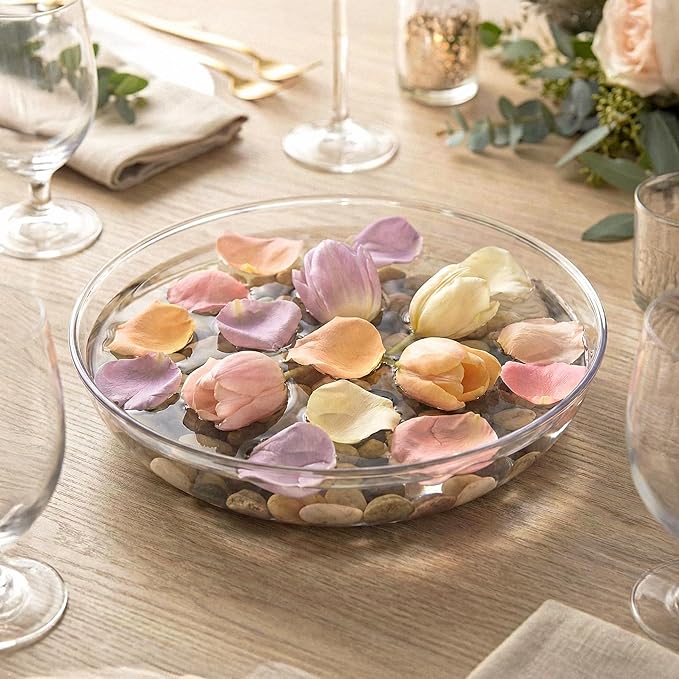 Royal Imports 11" Clear Plastic Saucer Plant Drip Tray, Low Pie Plate, Floral Flower Dish, Wedding, Party, Home and Holiday Decor, 6 Pack