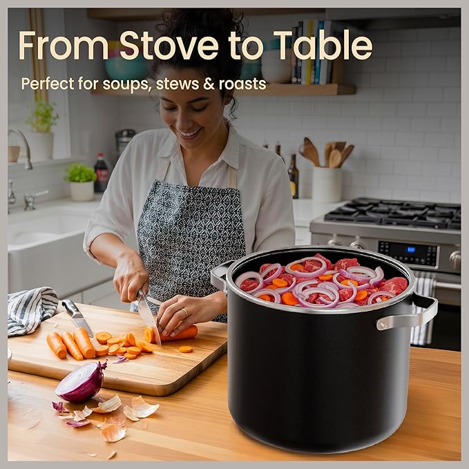Bakken 12.5 Quart Ceramic Coated Stock Pot with Lid, Easy Clean Nonstick Pot, Tempered Glass Lid, Riveted Stainless Steel Handles, Oven Safe Up To 500°F, PTFE & PFAS Free, All Stove Compatible, Black