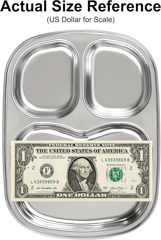 Korean Stainless Steel Divided Plates for Toddlers, Kids, Babies, Premium 304, Electro-Polished, No Black Residue, BPA-Free, 3-Compartment Plate, Food Tray for Camping, Balanced Meals, Set of 2