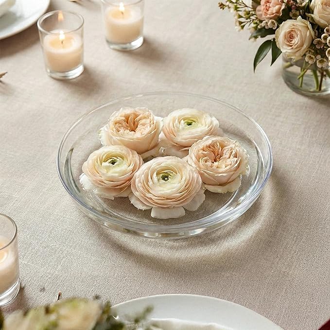 Royal Imports 9" Clear Plastic Saucer Plant Drip Tray, Low Pie Plate, Floral Flower Dish, Wedding, Party, Home and Holiday Decor, 6 Pack
