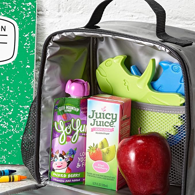 Cool Coolers by Fit & Fresh Kids Lunch Box Ice Packs, Slim Shaped Freezer Pack for Lunch Bags and Coolers 4 Pack Dinosaur Multicolor Dinosaur